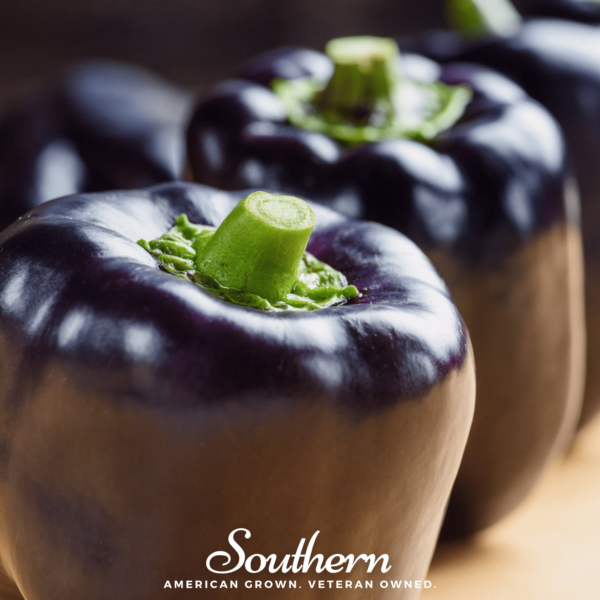 Pepper, Purple Beauty, Sweet (Capsicum annuum) - 30 Seeds - Southern Seed Exchange