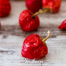 Pepper, Red Hot Cherry (Capsicum annuum) - 25 Seeds - Southern Seed Exchange