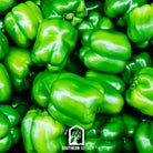 Pepper Seed Collection - 6 Essential Heirloom Peppers - Southern Seed Exchange