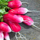 Radish, French Breakfast (Raphanus sativus) - 250 Seeds - Southern Seed Exchange