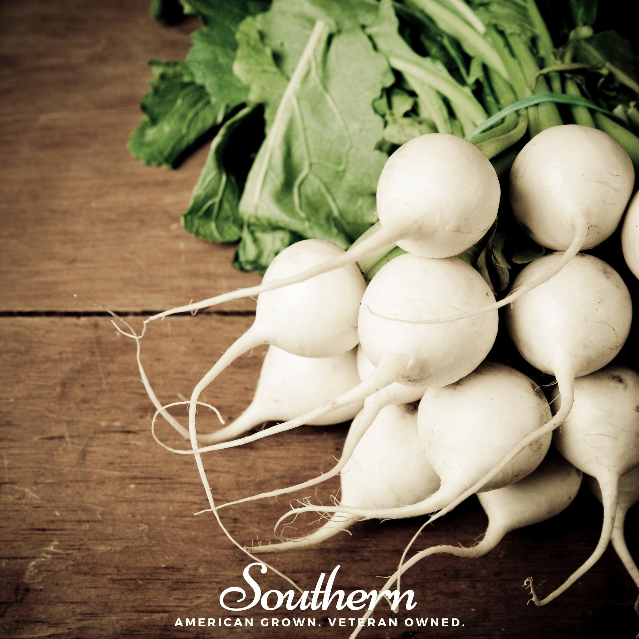 Radish, Hailstone (Raphanus sativus) - 100 Seeds - Southern Seed Exchange