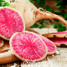 Radish, Watermelon (Raphanus sativus) - 100 Seeds - Southern Seed Exchange