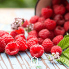 Raspberry, Red European (Rubus idaeus) - 30 Seeds - Southern Seed Exchange