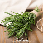 Rosemary (Rosemarinus Officinalis) - 50 Seeds - Southern Seed Exchange