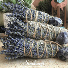 Sage, Blue (Salvia farinacea) - 100 Seeds - Southern Seed Exchange