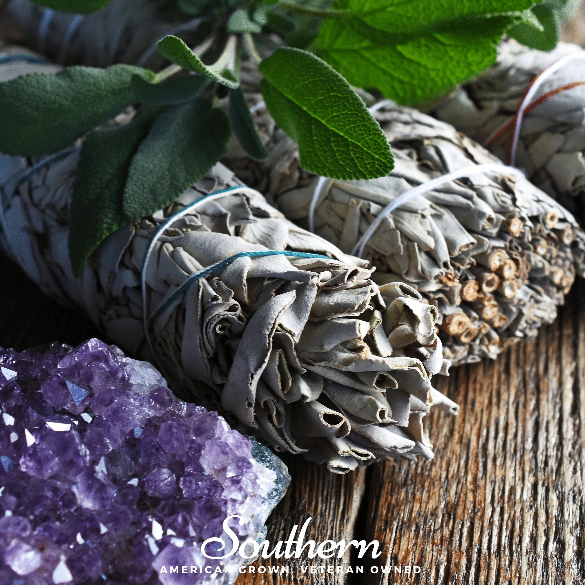 Sage, White - Smudging Sage (Salvia apiana) - 50 Seeds - Southern Seed Exchange