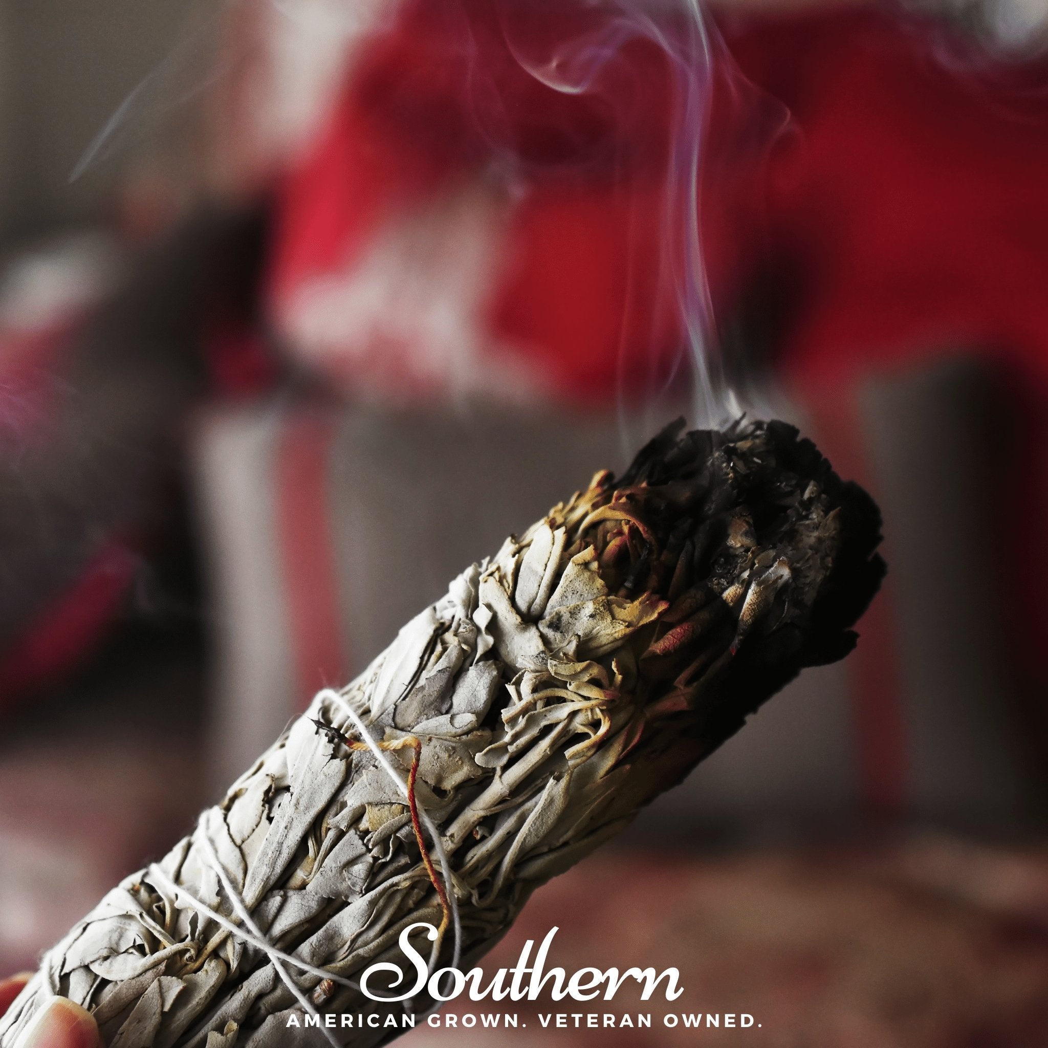 Sage, White - Smudging Sage (Salvia apiana) - 50 Seeds - Southern Seed Exchange