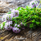 Savory, Summer (Satureja Hortensis) - 100 Seeds - Southern Seed Exchange