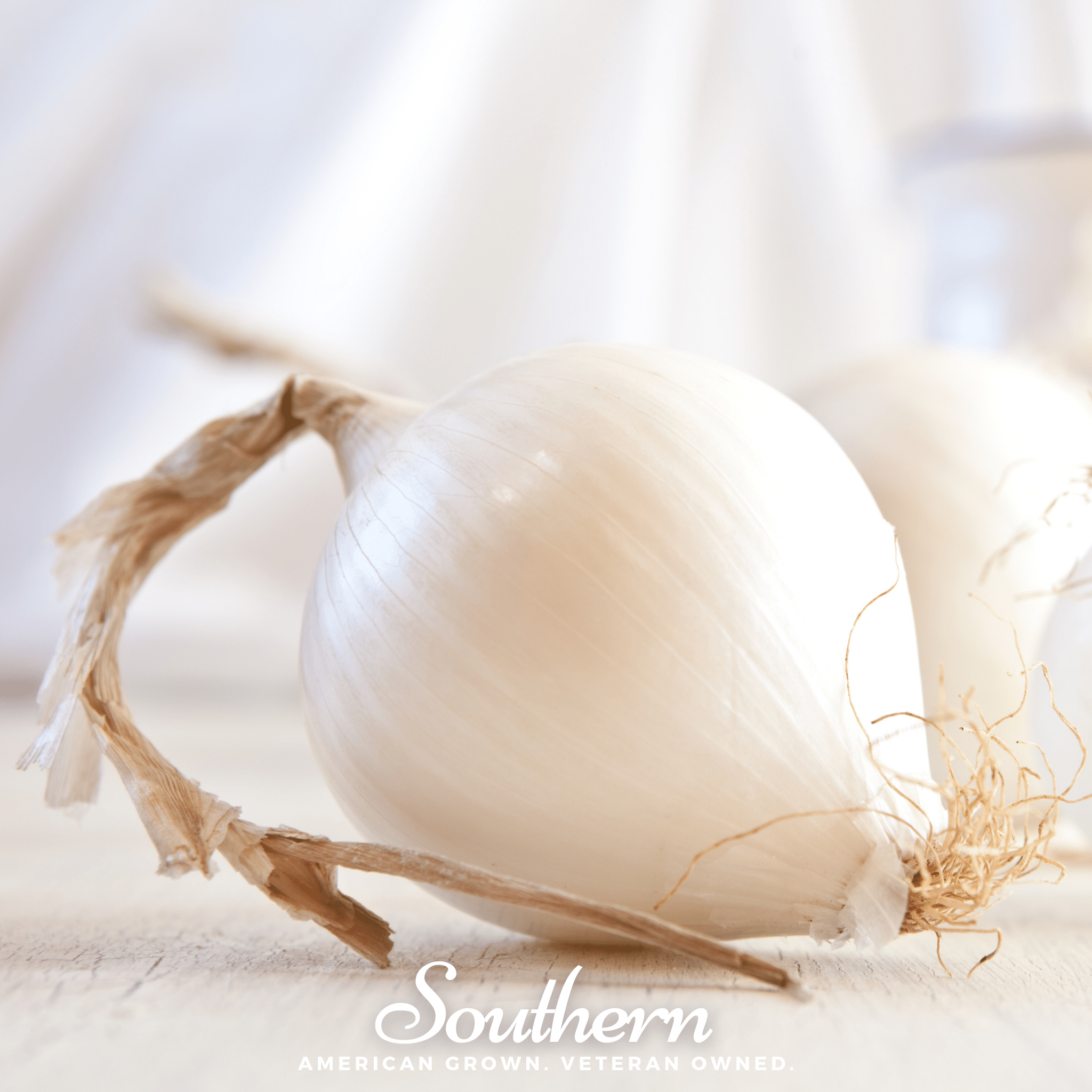 Onion, Spanish White Sweet (Allium cepa) - 200 Seeds - Southern Seed Exchange