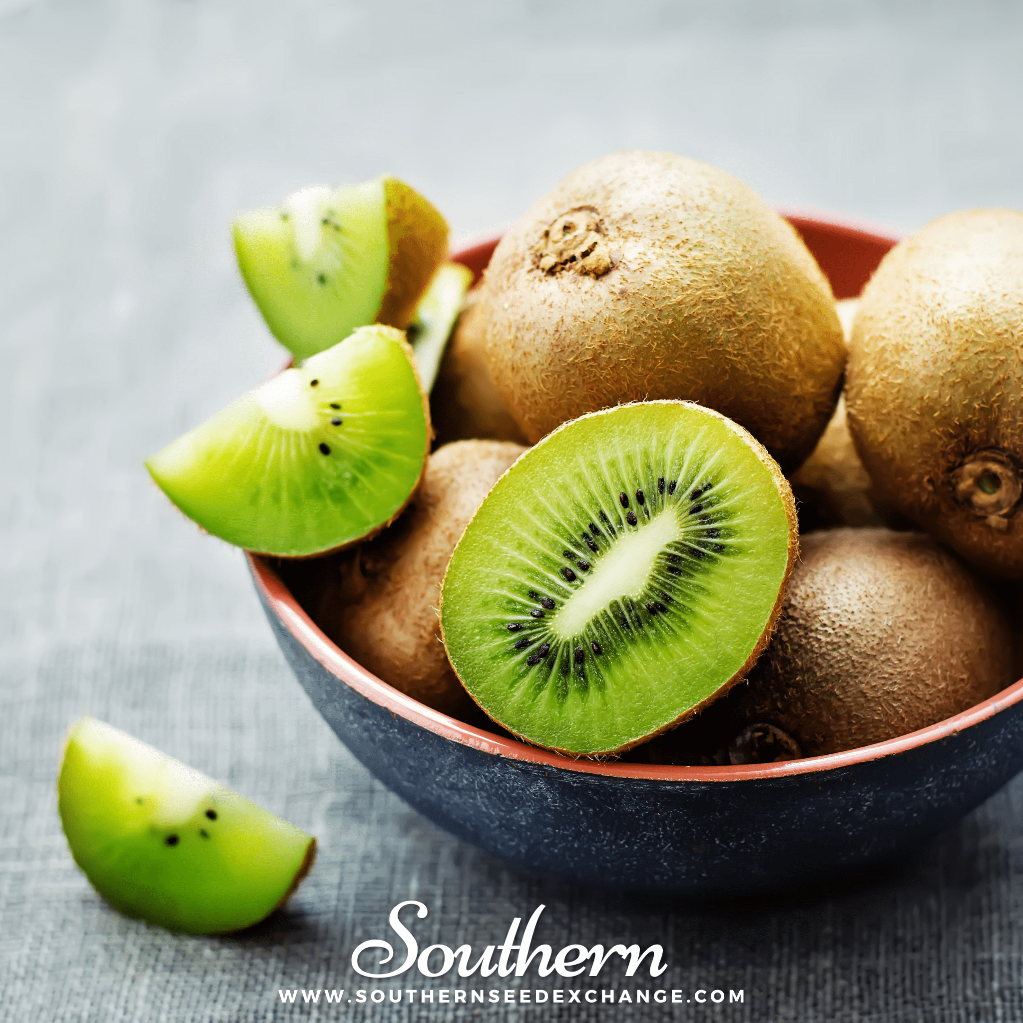 Kiwi Fruit (Actinidia chinensis) - 100 Seeds - Southern Seed Exchange