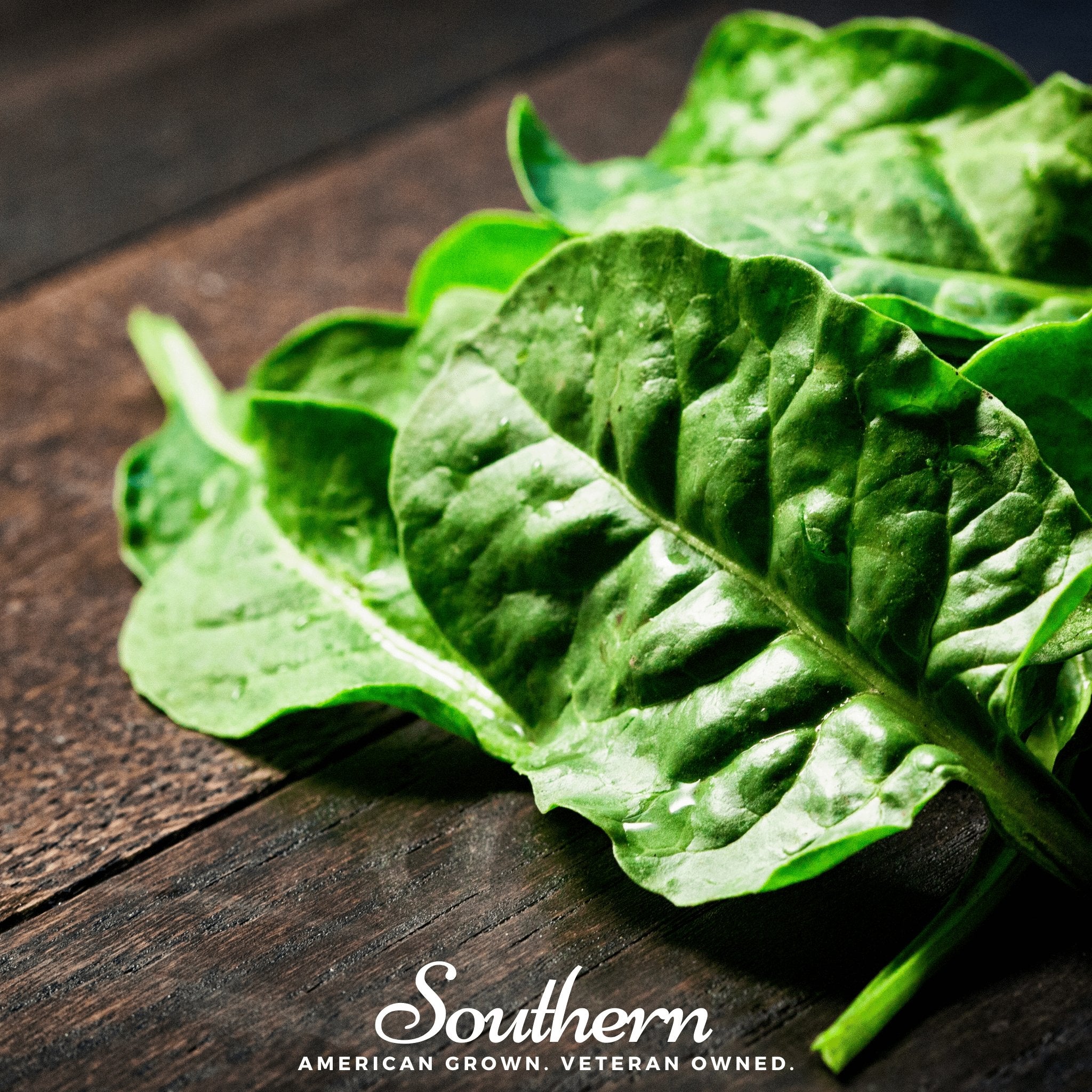 Spinach, Giant Noble (Spinacia oleracea) - 150 Seeds - Southern Seed Exchange