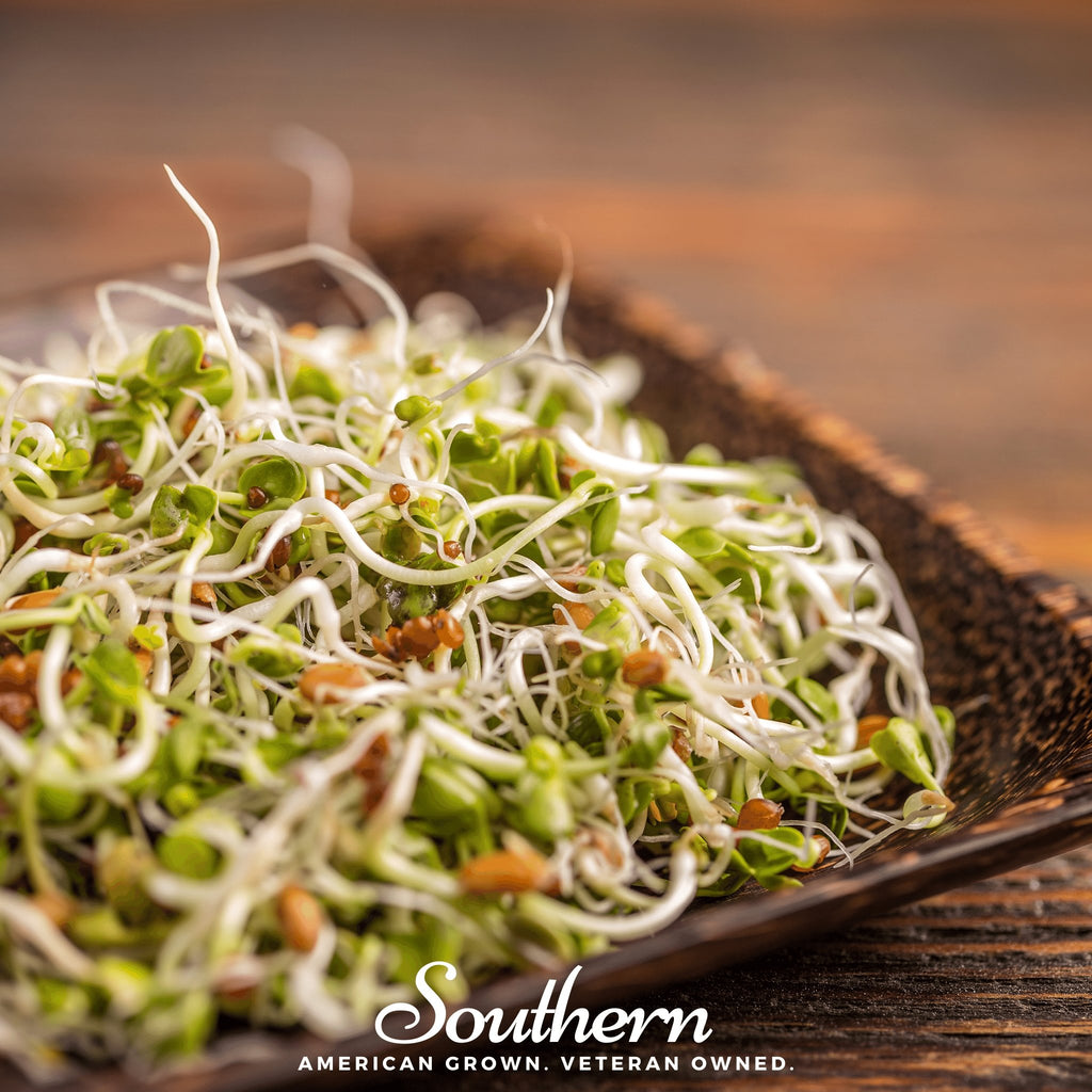 Sprout, 5 Part Salad Mix - 1,000 Seeds - Southern Seed Exchange