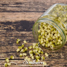 Sprout, Mung Beans (Vigna radiata) - 500 Seeds - Southern Seed Exchange