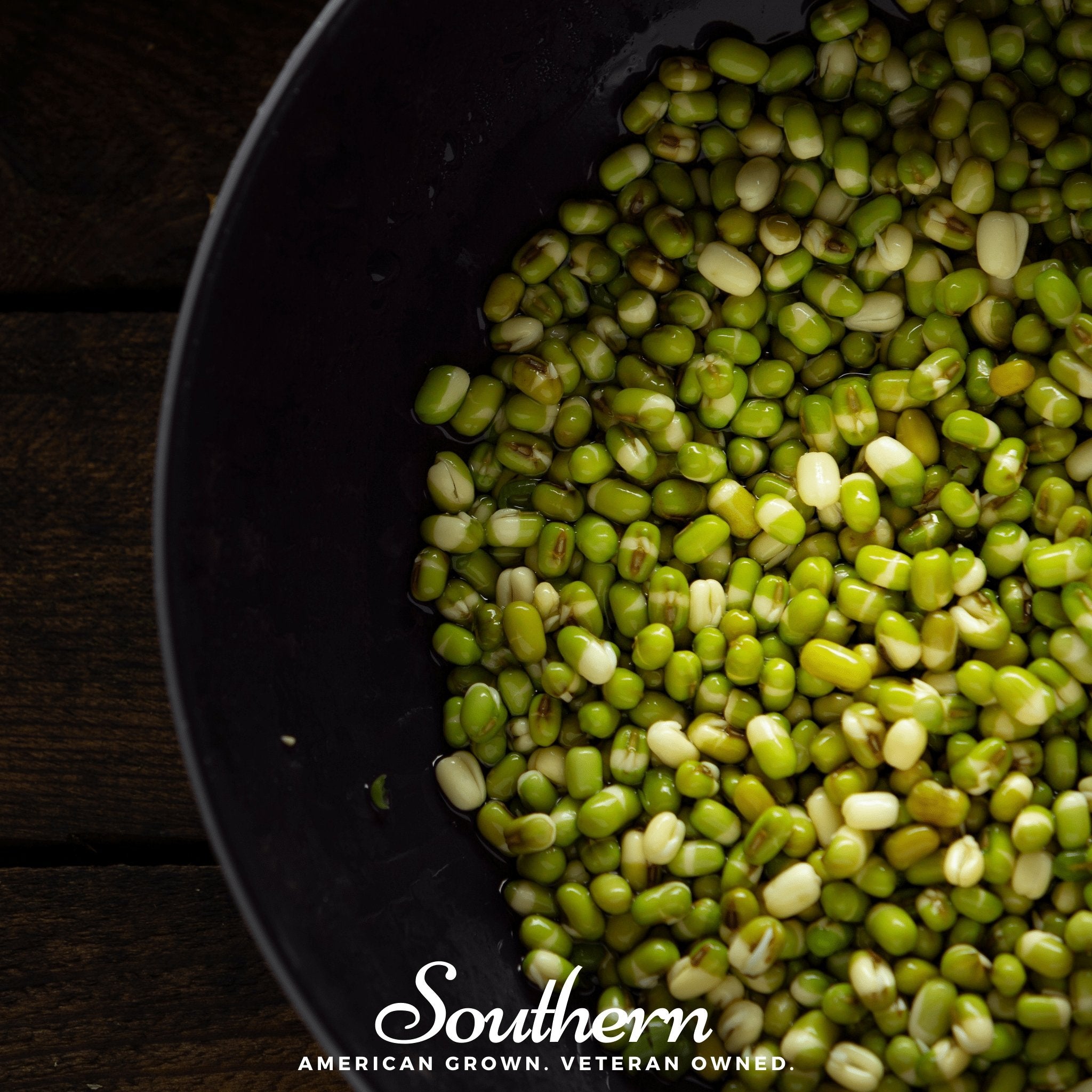 Sprout, Mung Beans (Vigna radiata) - 500 Seeds - Southern Seed Exchange