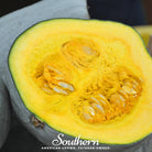 Squash, Blue Hubbard Winter (Cucurbita maxima) - 20 Seeds - Southern Seed Exchange