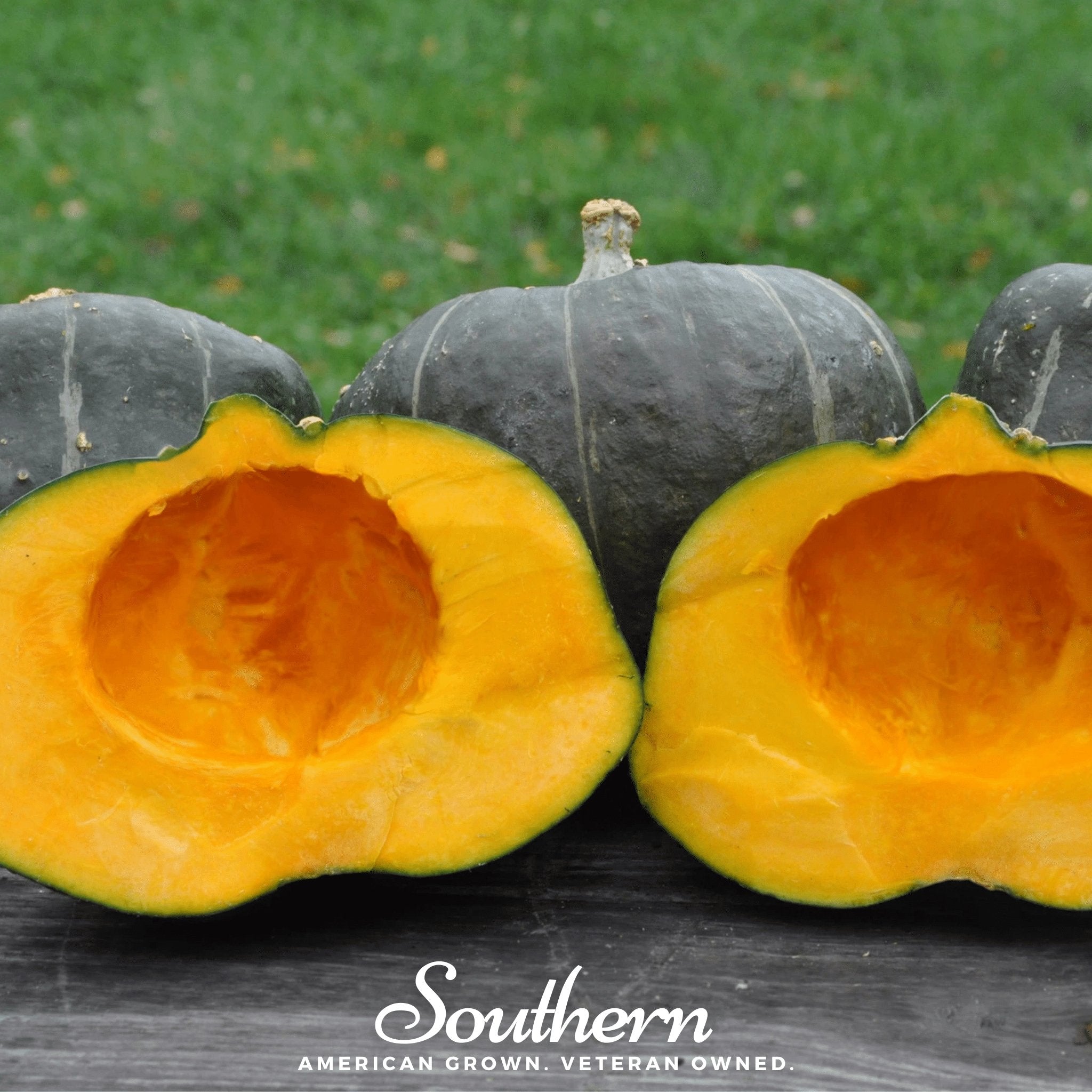 Squash, Buttercup Burgess Winter (Cucurbita maxima) - 20 Seeds - Southern Seed Exchange