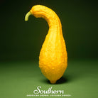 Squash, Crookneck - Summer (Cucurbita pepo) - 50 Seeds - Southern Seed Exchange