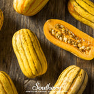 Squash, Delicata (Cucurbita Pepo) - 20 Seeds - Southern Seed Exchange