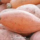 Squash, Pink Banana (Cucurbita maxima) - 20 Seeds - Southern Seed Exchange