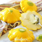 Squash, Scallop Yellow Bush - Summer (Cucurbita pepo) - 25 seeds - Southern Seed Exchange