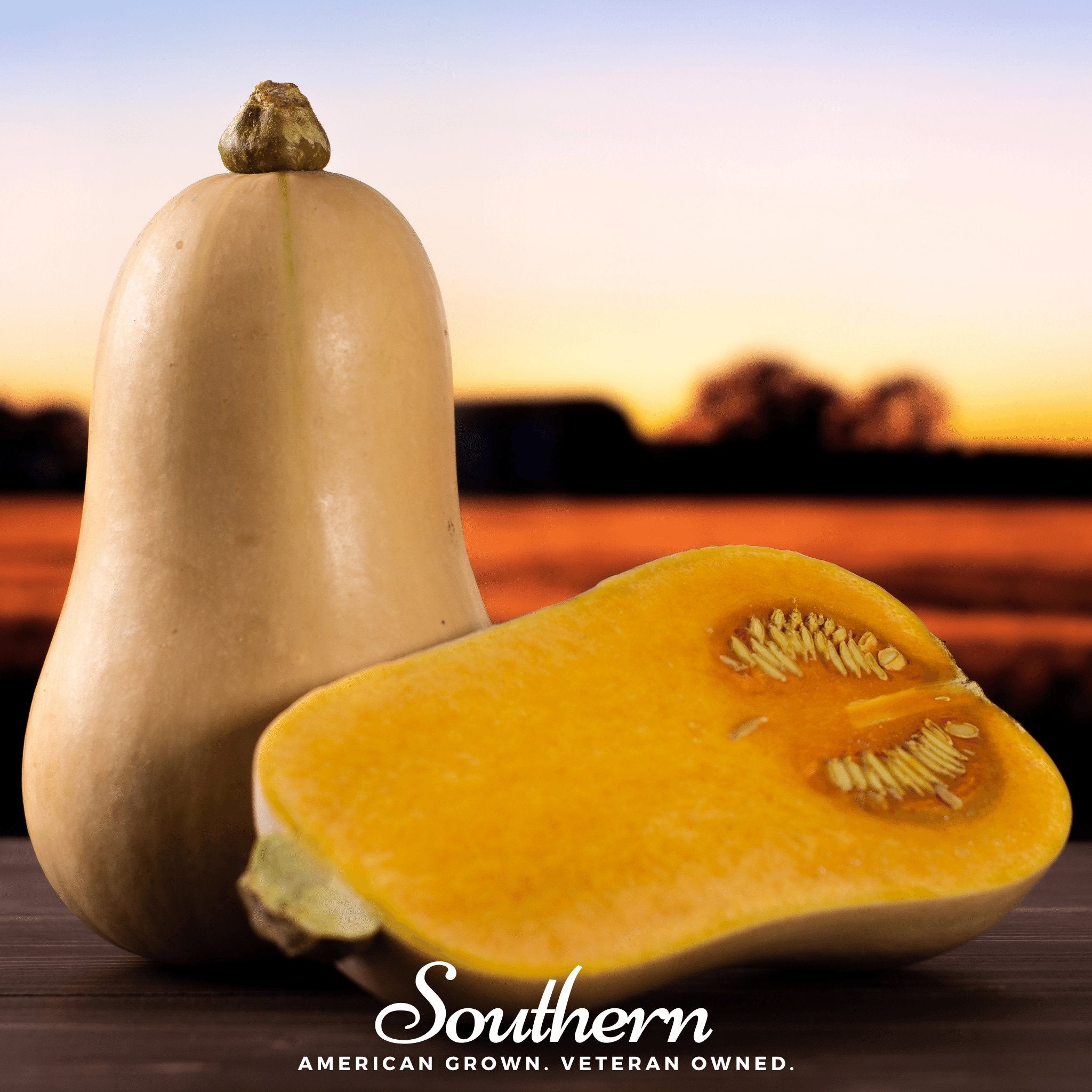 Squash, Waltham Butternut - Winter (Cucurbita pepo) - 25 Seeds - Southern Seed Exchange