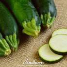 Squash, Zucchini, Black Beauty Summer (Cucurbita pepo) - 25 Seeds - Southern Seed Exchange