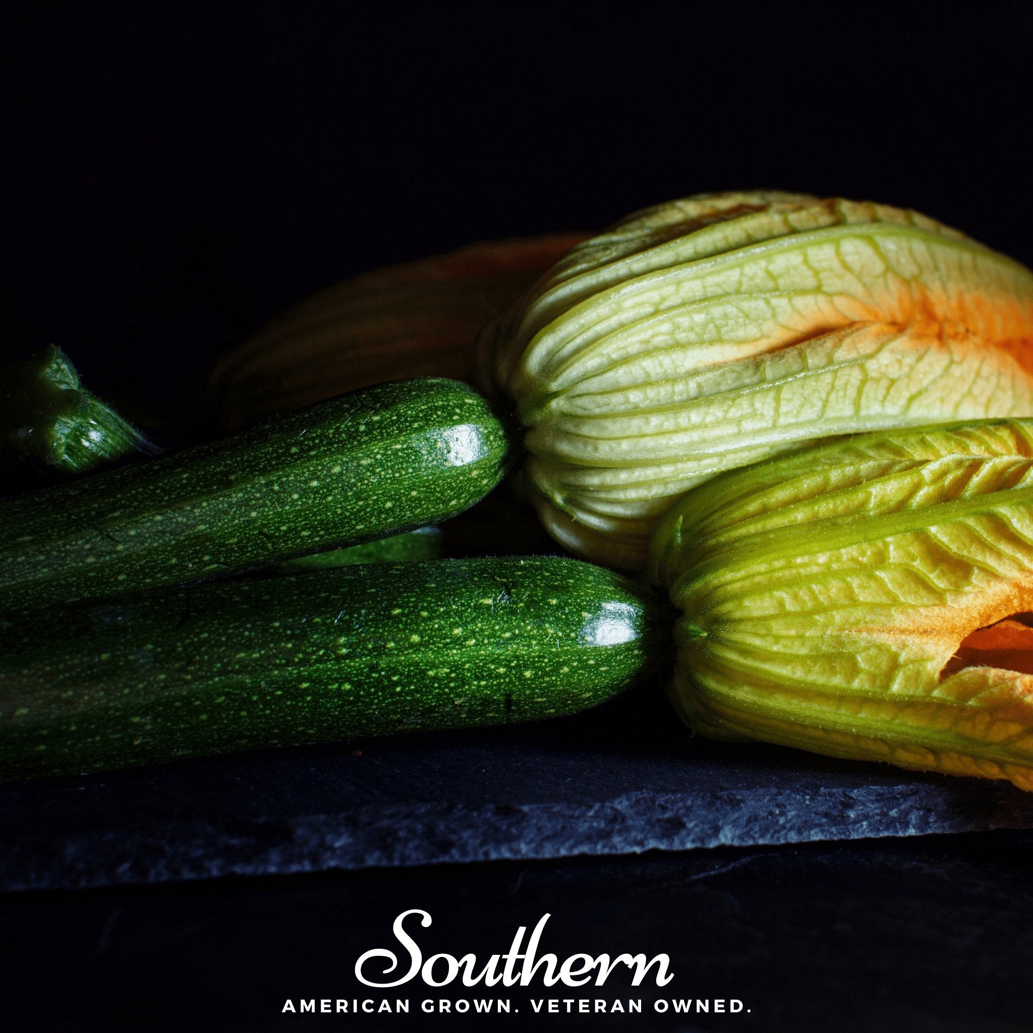 Squash, Zucchini, Dark Green Summer (Cucurbita pepo) - 25 seeds - Southern Seed Exchange