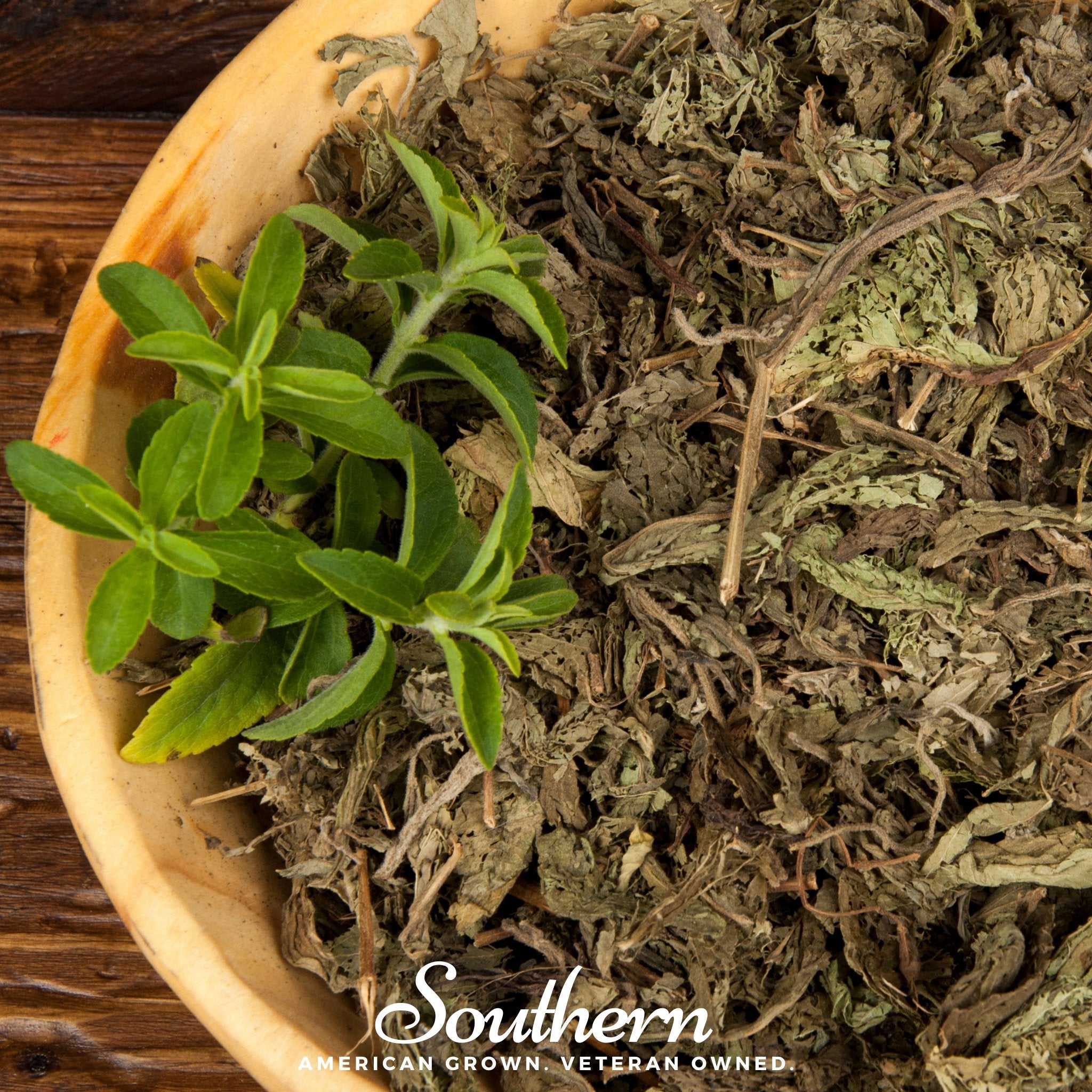 Stevia (Stevia rebaudiana) - 100 Seeds - Southern Seed Exchange