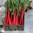 Swiss Chard, Ruby Red (Beta vulgaris subsp. circla) - 100 Seeds - Southern Seed Exchange