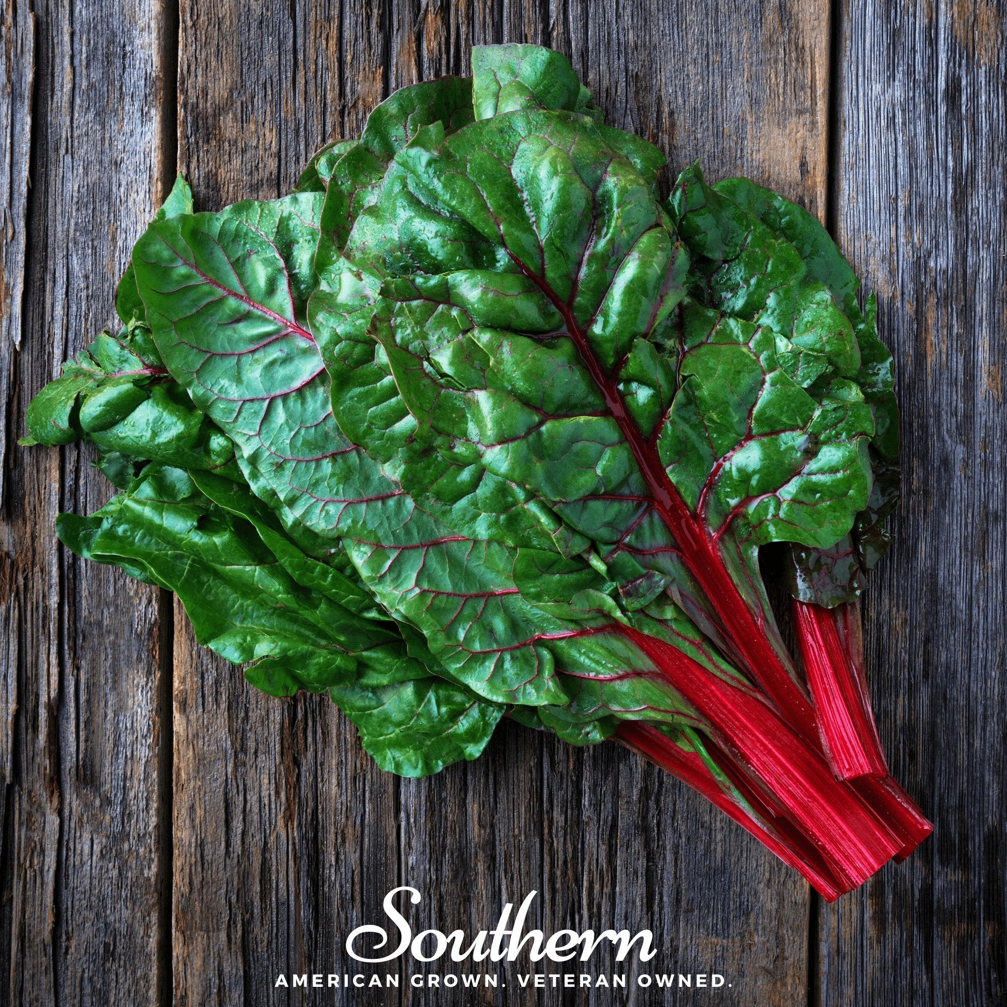 Swiss Chard, Ruby Red (Beta vulgaris subsp. circla) - 100 Seeds - Southern Seed Exchange