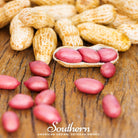 Tennessee Red Peanuts (Arachis hypogaea) - 10 Seeds - Southern Seed Exchange