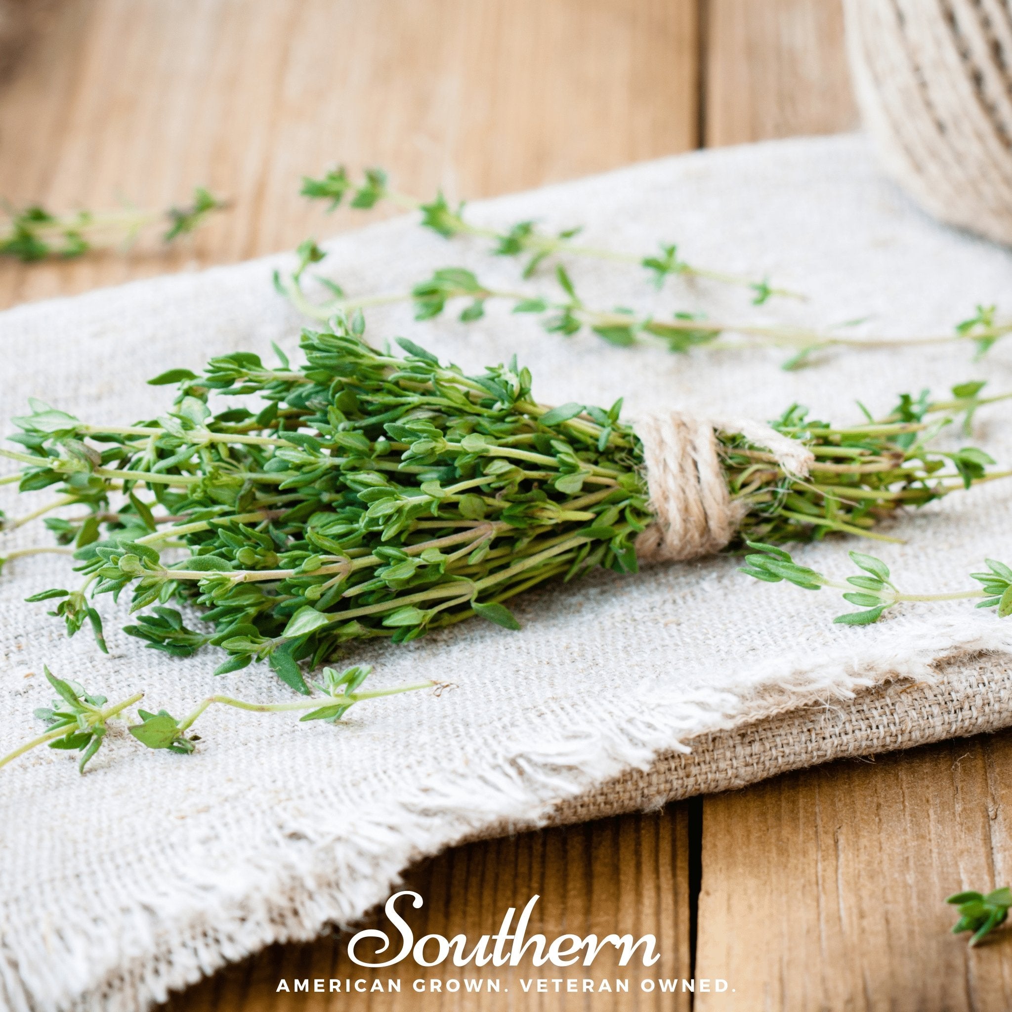 Thyme (Thymus Vulgaris) - 50 Seeds - Southern Seed Exchange