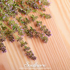 Thyme, Wild (Thymus serpyllum) - 100 Seeds - Southern Seed Exchange