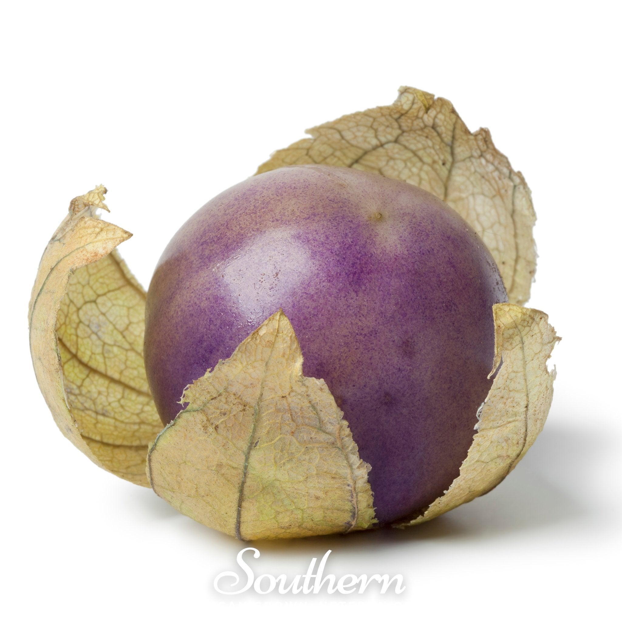 Tomatillo, Purple (Physalis ixocarpa) - 30 Seeds - Southern Seed Exchange