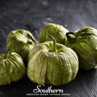 Tomatillo, Verde Rio Grande (Physalis ixocarpa) - 50 Seeds - Southern Seed Exchange