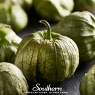 Tomatillo, Verde Rio Grande (Physalis ixocarpa) - 50 Seeds - Southern Seed Exchange