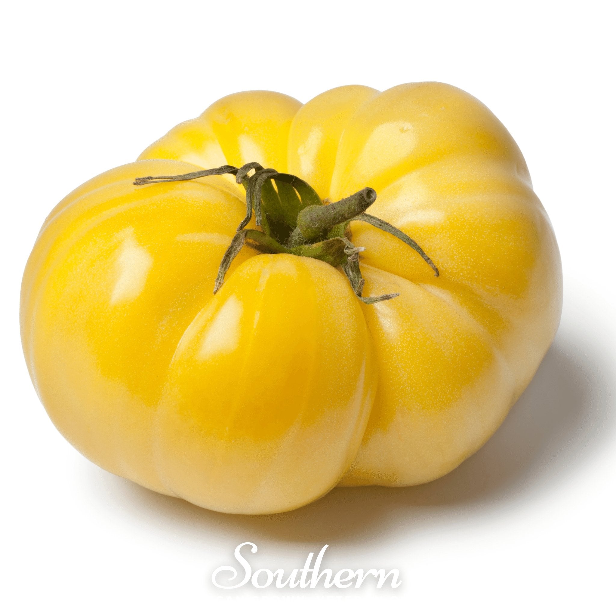 Tomato, Brandywine Yellow (Solanum lycopersicum) - 50 Seeds - Southern Seed Exchange