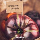 Tomato, Cherokee Purple (Solanum lycopersicum) - 50 Seeds - Southern Seed Exchange