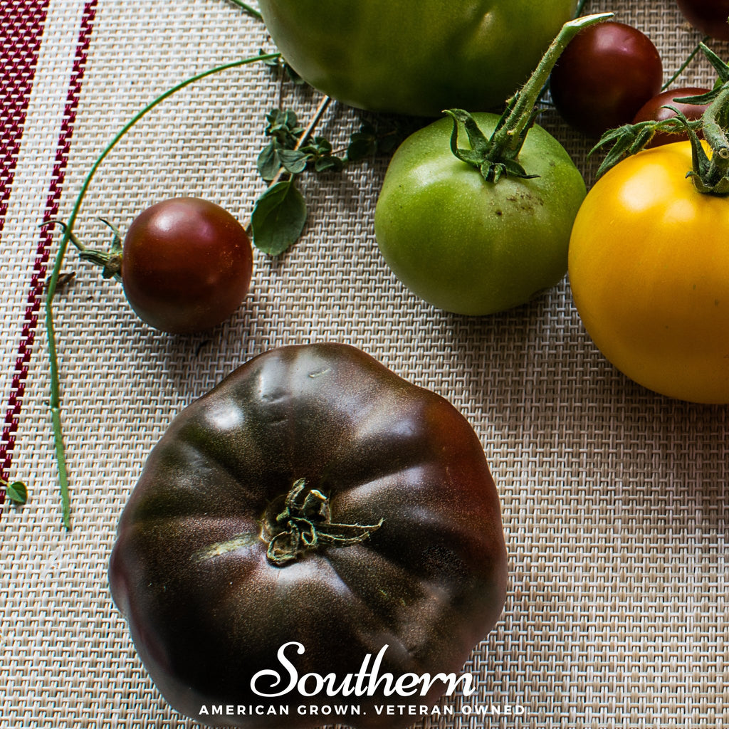 Tomato, Cherokee Purple (Solanum lycopersicum) - 50 Seeds - Southern Seed Exchange