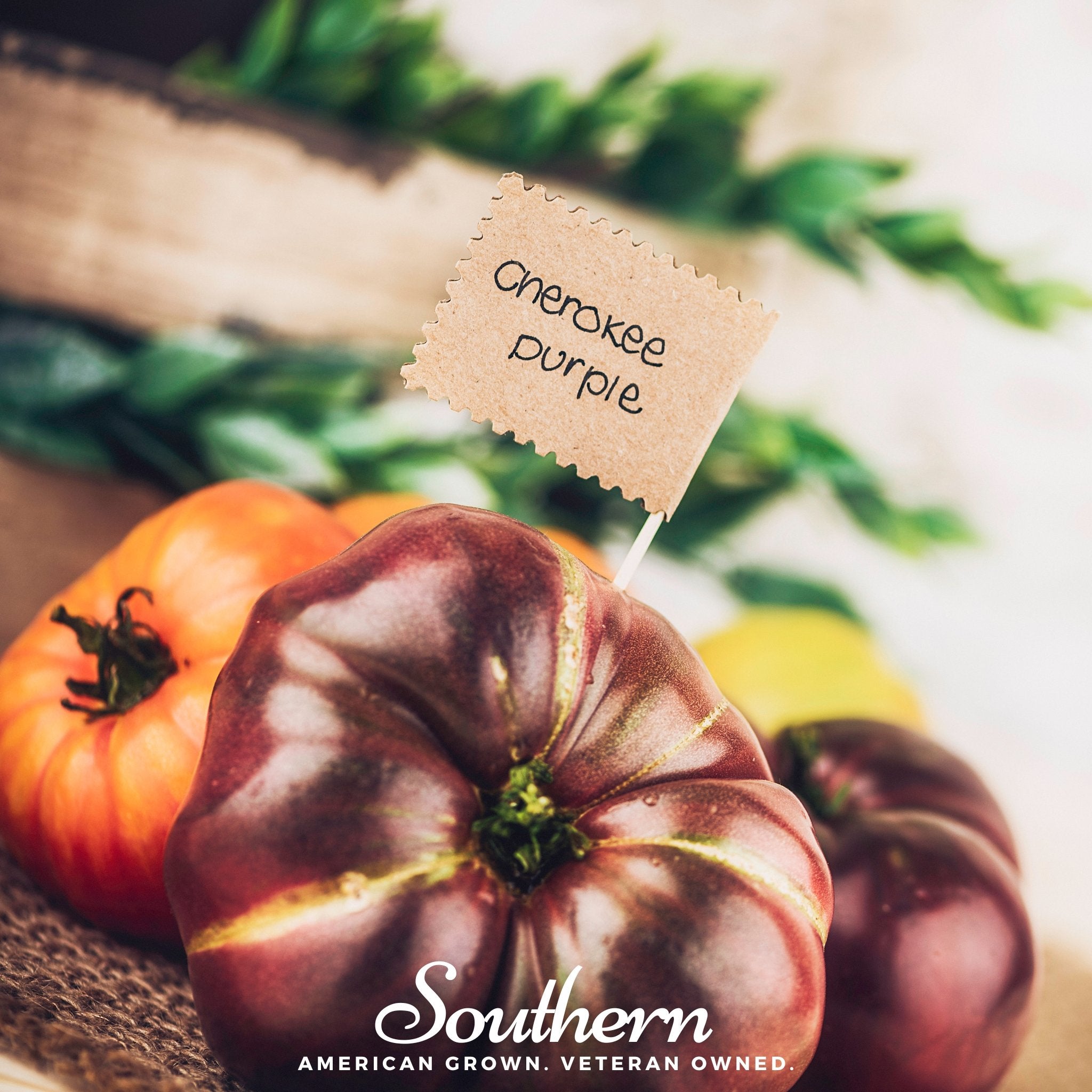 Tomato, Cherokee Purple (Solanum lycopersicum) - 50 Seeds - Southern Seed Exchange