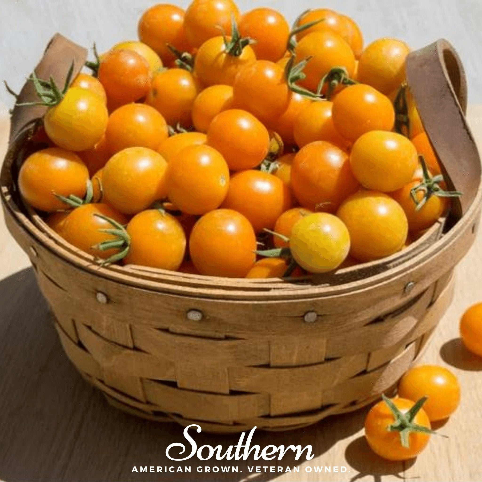 Tomato, Gold Nugget (Lycopersicon esculentum) - 50 Seeds - Southern Seed Exchange