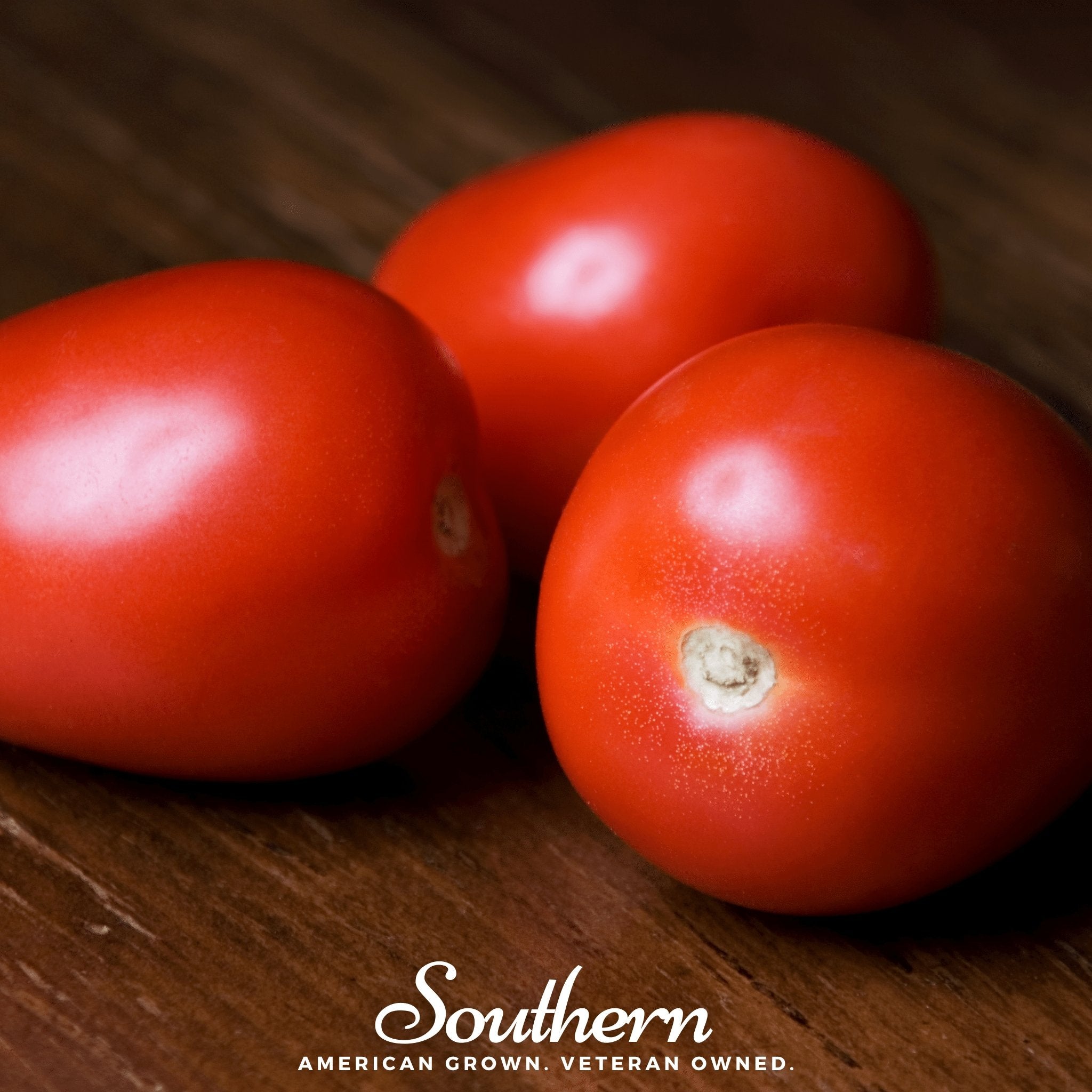 Tomato, Roma VF (Solanum lycopersicum) - 50 Seeds - Southern Seed Exchange