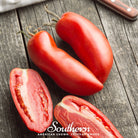 Tomato, San Marzano (Solanum lycopersicum) - 50 Seeds - Southern Seed Exchange