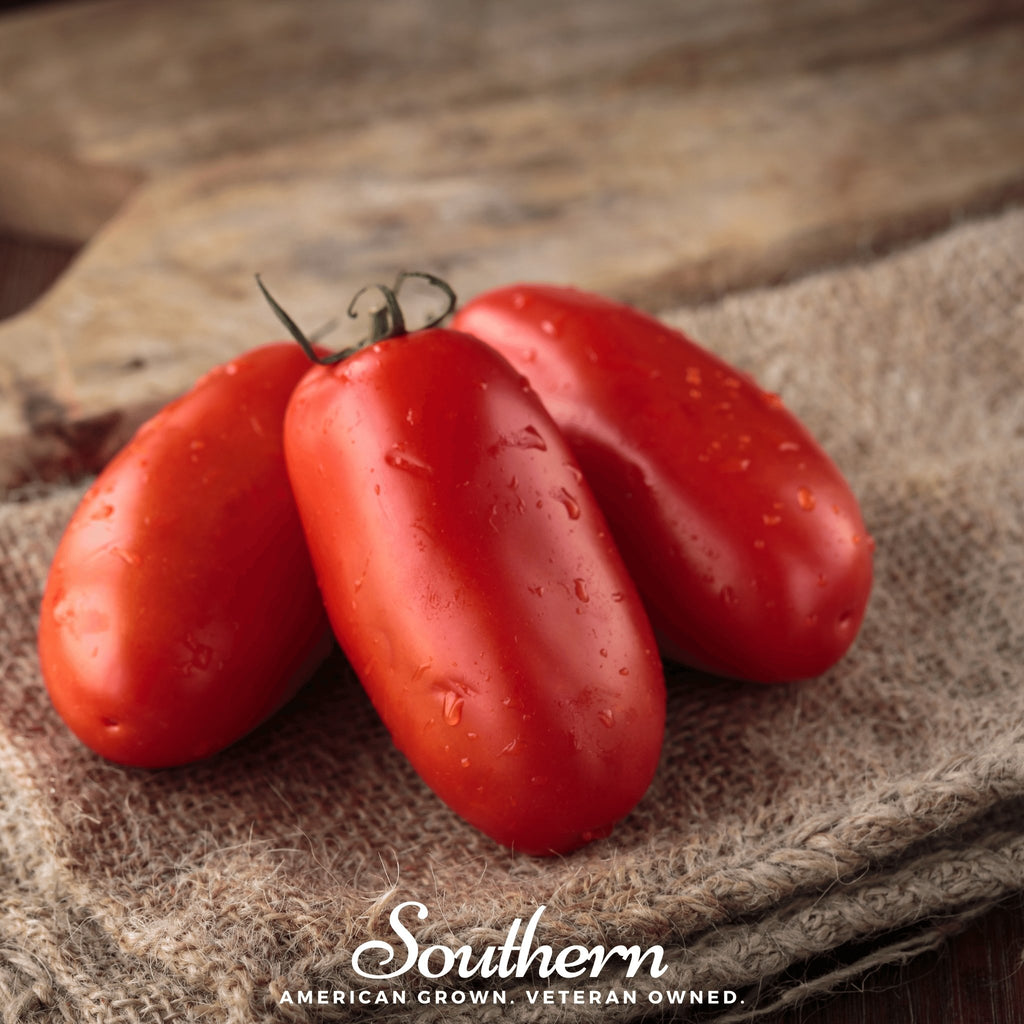 Tomato, San Marzano (Solanum lycopersicum) - 50 Seeds - Southern Seed Exchange