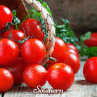 Tomato, Small Red Cherry (Lycopersicon esculemtum) - 100 Seeds - Southern Seed Exchange