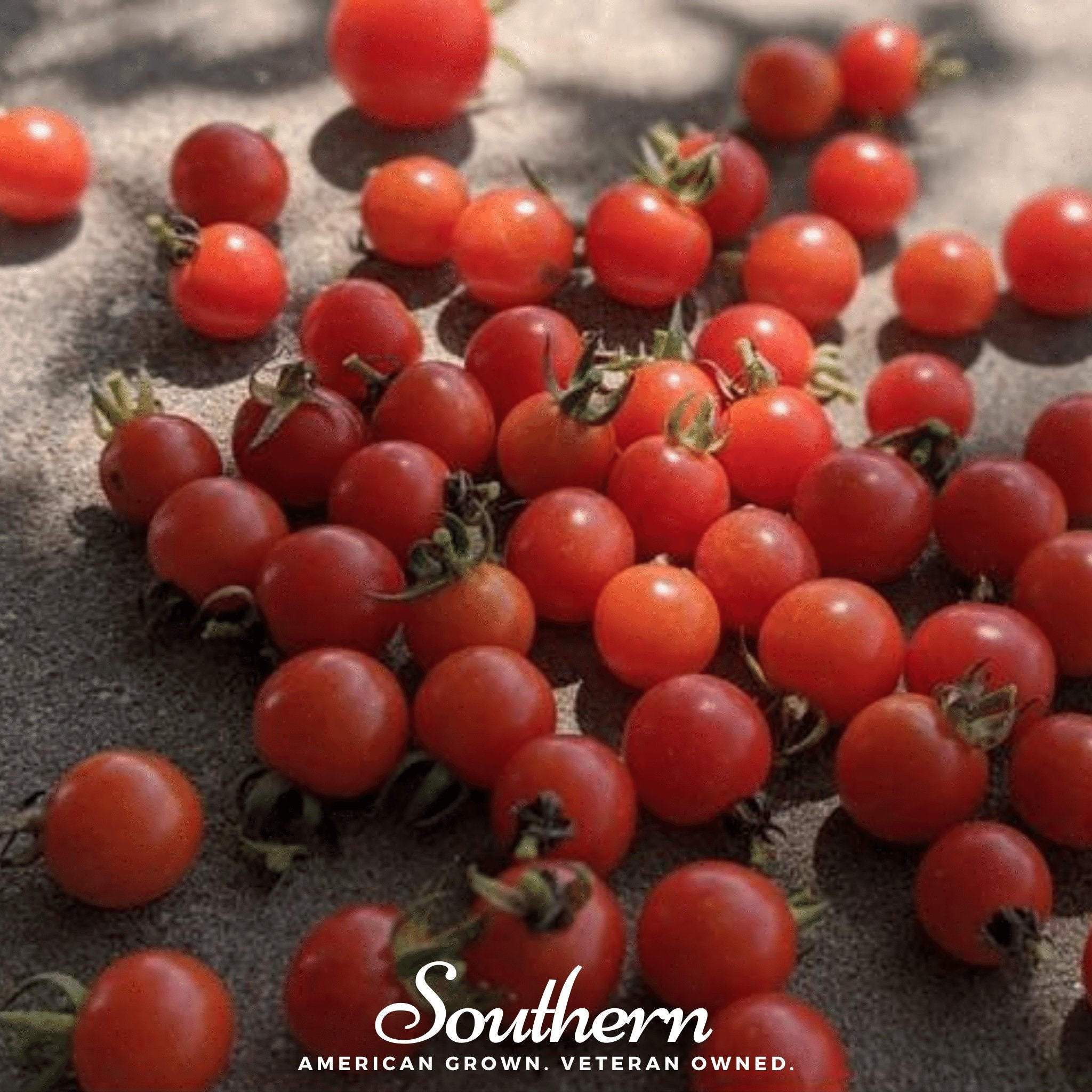 Tomato, Sweetie (Solanum lycopersicum) - 50 Seeds - Southern Seed Exchange