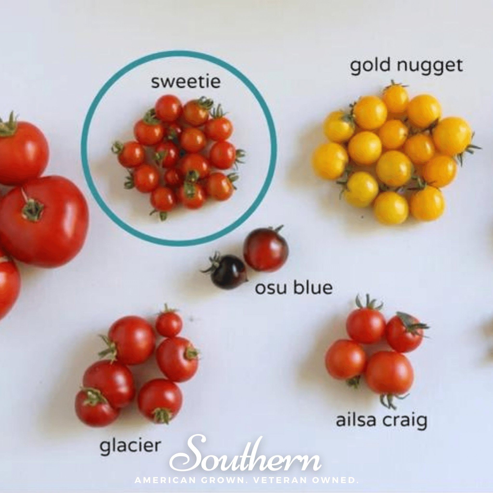 Tomato, Sweetie (Solanum lycopersicum) - 50 Seeds - Southern Seed Exchange