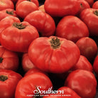 Tomato, VR Moscow (Lycopersicon lycopersicum) - 50 Seeds - Southern Seed Exchange