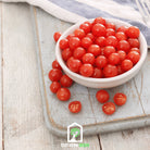 Tomato, World's Smallest - Tomberry (Solanum lycopersicum) - 25 Seeds - Southern Seed Exchange