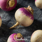 Turnip, Purple Top White Globe (Brassica rapa) - 250 Seeds - Southern Seed Exchange